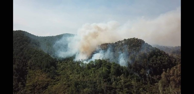 Cháy rừng ở Hồng Lĩnh đang bùng phát trở lại - Ảnh 1.