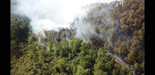 Cháy rừng ở Hồng Lĩnh đang bùng phát trở lại - Ảnh 3.