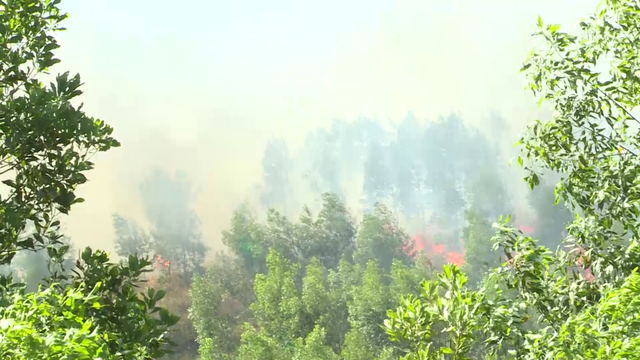 Khó kiểm soát cháy rừng tại Hương Sơn, Hà Tĩnh - Ảnh 6.