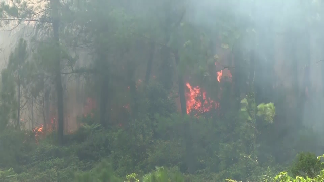 Khó kiểm soát cháy rừng tại Hương Sơn, Hà Tĩnh - Ảnh 3.
