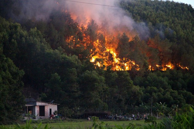 Thừa Thiên - Huế: Duy trì các lực lượng ngăn chặn cháy rừng bùng phát - Ảnh 4.