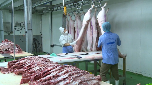 TP.HCM khuyến khích trữ đông thịt lợn khi nguồn cung thiếu hụt - Ảnh 1.