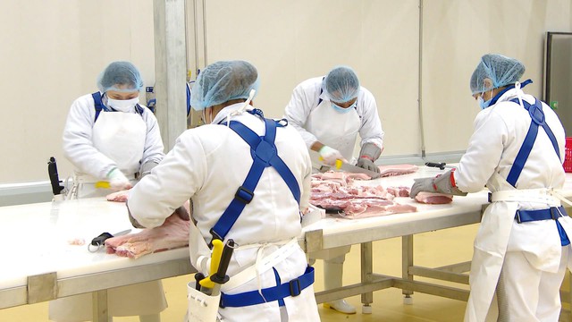 TP.HCM khuyến khích trữ đông thịt lợn khi nguồn cung thiếu hụt - Ảnh 2.