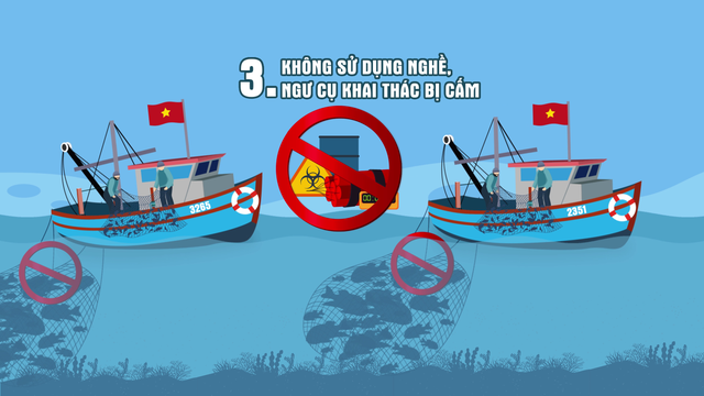 Những quy định tối thiểu mà mỗi chủ tàu cá và ngư dân cần ghi nhớ khi ra khơi - Ảnh 1.