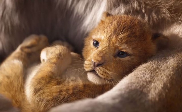 Sau suất chiếu đầu tiên, “The Lion King” được xướng danh “tuyệt tác điện ảnh 2019” - Ảnh 1.