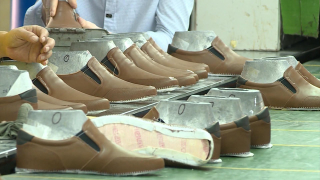 Xuất khẩu da giày năm nay có thể đạt 21,5 tỷ USD - Ảnh 2.