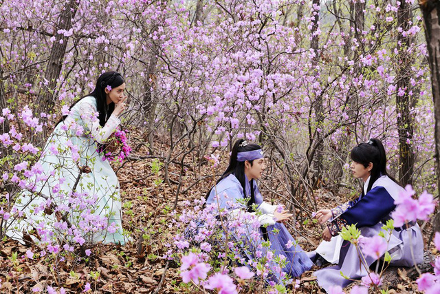 Phim truyện Hàn Quốc mới trên VTV3: Khi nhà vua yêu  - Ảnh 4.