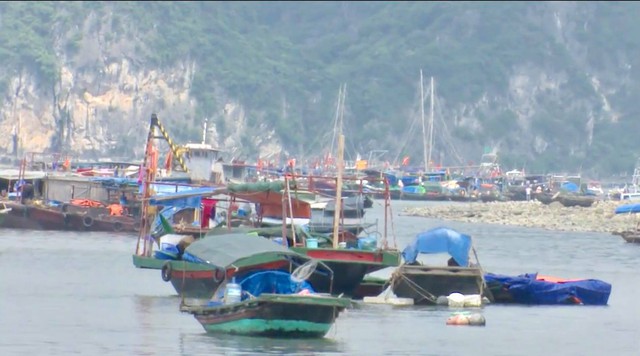 Quảng Ninh: Kêu gọi hơn 8.000 tàu thuyền vào khu tránh trú bão - Ảnh 3.
