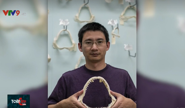 Phát hiện mảnh răng cá mập găm vào chân sau 25 năm - Ảnh 3.