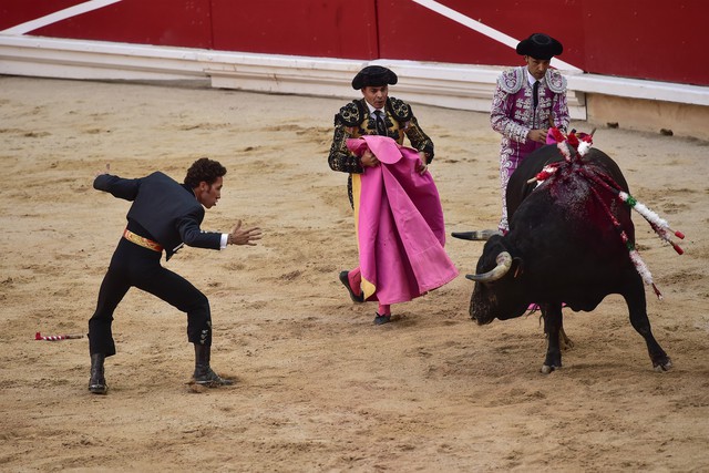 Lễ hội đua cùng bò tót San Fermin ở Tây Ban Nha - Ảnh 9.