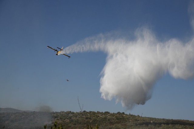 Hy Lạp ra cảnh báo đỏ về nguy cơ cháy rừng trên toàn quốc - Ảnh 7.