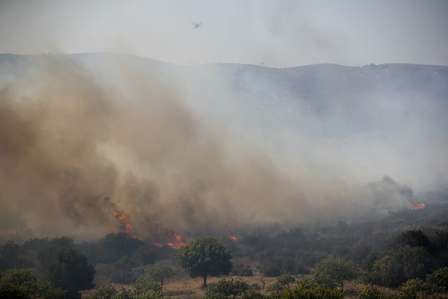 Hy Lạp ra cảnh báo đỏ về nguy cơ cháy rừng trên toàn quốc - Ảnh 2.