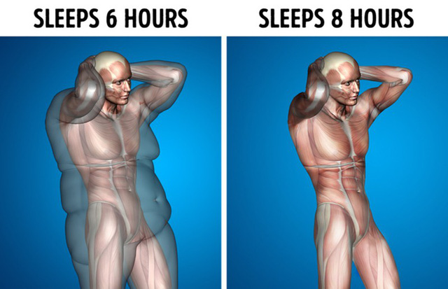 9 điều xảy ra khi bạn ngủ đủ 8 tiếng mỗi ngày - Ảnh 3.