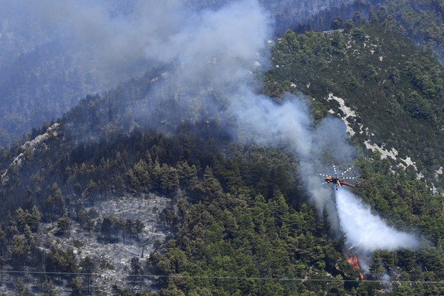 Hỏa hoạn thiêu rụi khu bảo tồn thiên nhiên hoang dã tại Hy Lạp - Ảnh 2.