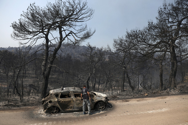 Hỏa hoạn thiêu rụi khu bảo tồn thiên nhiên hoang dã tại Hy Lạp - Ảnh 3.