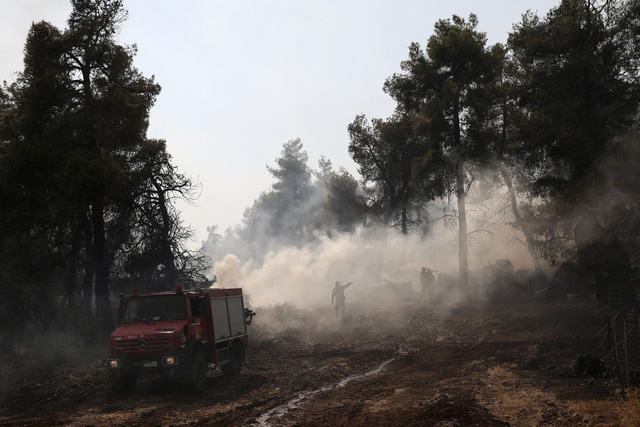 Hỏa hoạn thiêu rụi khu bảo tồn thiên nhiên hoang dã tại Hy Lạp - Ảnh 5.