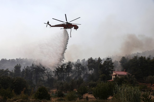 Hỏa hoạn thiêu rụi khu bảo tồn thiên nhiên hoang dã tại Hy Lạp - Ảnh 7.