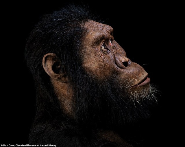 Khuôn mặt tổ tiên lâu đời nhất của con người lần đầu được tiết lộ - Ảnh 2.