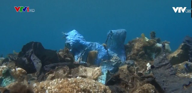 “Rạn san hô nhựa dưới biển Aegean ở Hy Lạp - Ảnh 2.