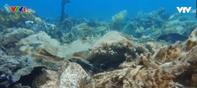 “Rạn san hô nhựa dưới biển Aegean ở Hy Lạp - Ảnh 1.