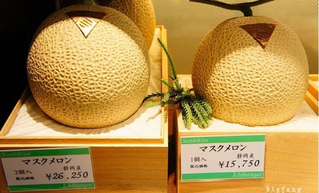 Cửa hàng trái cây tươi đắt nhất Nhật Bản - Ảnh 4.