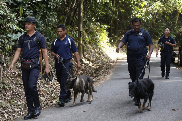 Cảnh sát Malaysia tìm kiếm du khách Anh 15 tuổi mất tích - Ảnh 7.