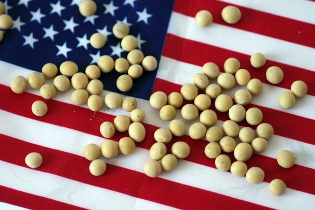 Trung Quốc đề nghị Mỹ báo giá các nông sản định mua - Ảnh 2.