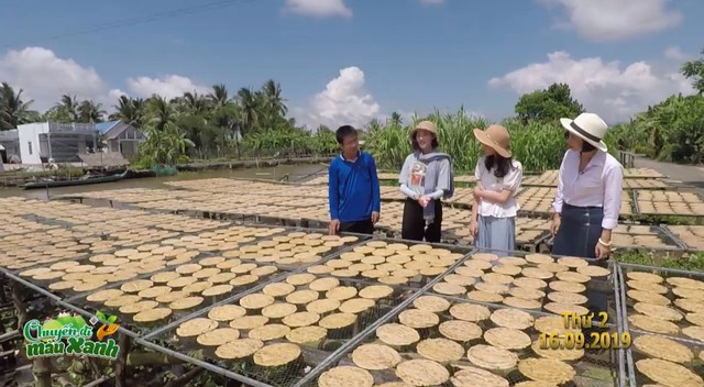 Chuyến đi màu xanh: Về Cà Mau trải nghiệm trồng chuối ép khô - Ảnh 4.