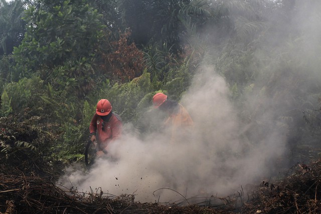 Indonesia và Malaysia đóng cửa hàng trăm trường học vì khói bụi cháy rừng - Ảnh 1.