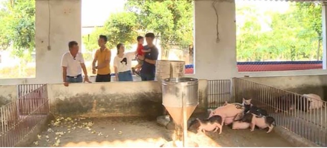 Chuyến đi màu xanh: Cùng gia đình Phương Minh - Trường Nhật trải nghiệm tại trang trại nuôi lợn sạch Ba Vì - Ảnh 2.