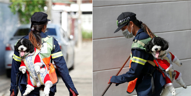 Thái Lan: Công nhân vệ sinh cõng cún quét rác - Ảnh 1.