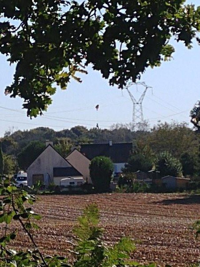 Pháp: Phi công nhảy dù bị mắc kẹt trên dây điện cao thế - Ảnh 1.