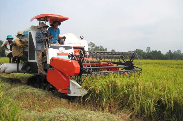 Giá nông sản Thái Lan dự báo sẽ tăng cao do hạn hán nghiêm trọng - Ảnh 1.