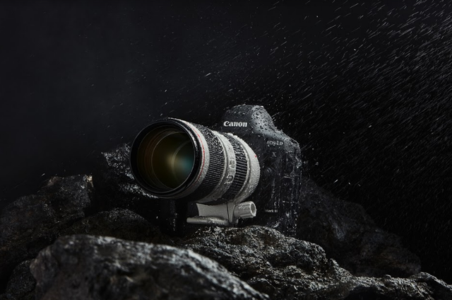 Canon ra mắt bánh chưng EOS-1D X Mark III - Ảnh 5.