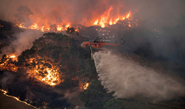 Cơn mưa vàng xoa dịu thảm họa cháy rừng ở Australia - Ảnh 2.