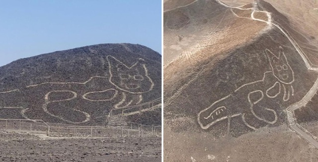 Phát hiện hình vẽ mèo khổng lồ nghìn tuổi nằm vắt vẻo giữa sa mạc - Ảnh 1.