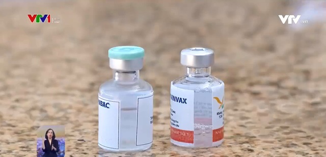 Việt Nam thử nghiệm vaccine COVID-19 trên khỉ - Ảnh 1.