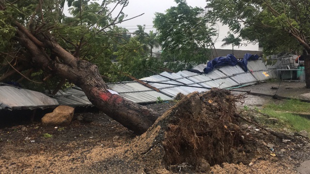 Bão số 12 gây tốc mái, mất điện trên địa bàn tỉnh Khánh Hòa - Ảnh 2.