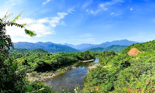 Vườn quốc gia Vũ Quang đón nhận danh hiệu Vườn di sản ASEAN - Ảnh 1.