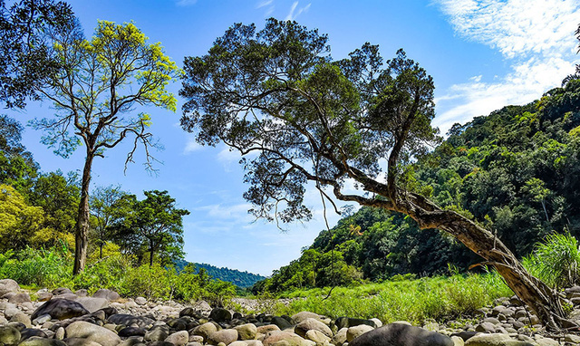 Vườn quốc gia Vũ Quang đón nhận danh hiệu Vườn di sản ASEAN - Ảnh 2.