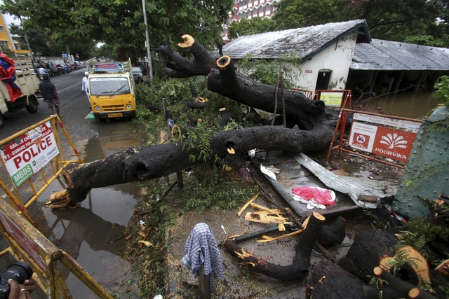 Bão Nivar gây thiệt hại nặng nề ở Ấn Độ, ít nhất 5 người thiệt mạng - Ảnh 2.