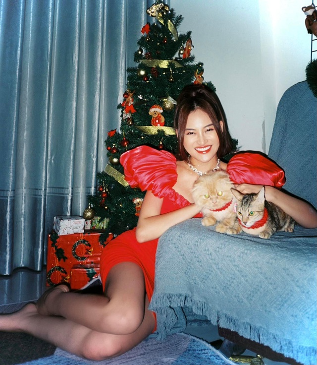 Lã Thanh Huyền mời bạn đến biệt thự, gia đình Hồng Đăng chụp với cây thông khổng lồ dịp Giáng sinh - Ảnh 16.