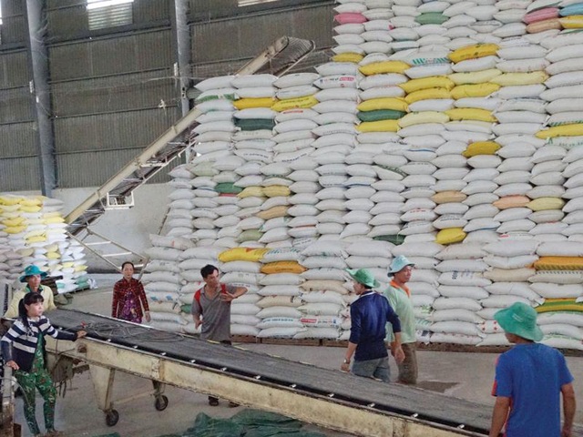 Xuất khẩu gạo 2020: Một năm nhiều đột phá - Ảnh 2.