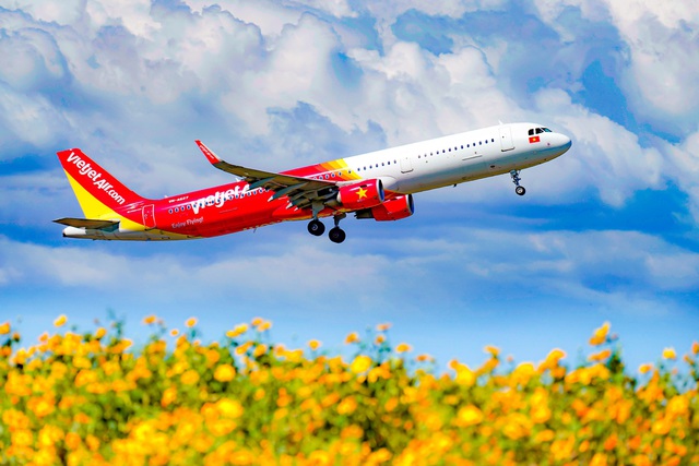 Vận chuyển mai, đào sớm nhất dịp Tết Tân Sửu 2021 cùng Vietjet - Ảnh 2.