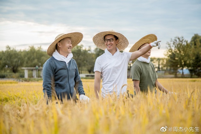 Dịch Corona bùng phát ở Trung Quốc, sao phim Hoàn Châu Cách Cách ủng hộ gạo - Ảnh 1.