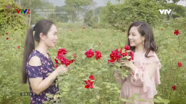 Lạc bước vào vườn hoa hồng hơn 1ha ở Hà Nội - Ảnh 5.