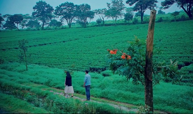 Ngắm cảnh sắc Đà Lạt tuyệt đẹp trong phim Nước mắt loài cỏ dại - Ảnh 8.