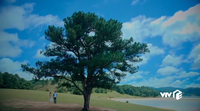 Ngắm cảnh sắc Đà Lạt tuyệt đẹp trong phim Nước mắt loài cỏ dại - Ảnh 3.