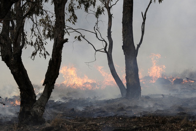 Thủ đô Canberra của Australia ban bố tình trạng khẩn cấp do cháy rừng - Ảnh 1.
