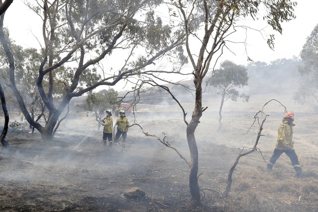 Thủ đô Canberra của Australia ban bố tình trạng khẩn cấp do cháy rừng - Ảnh 3.